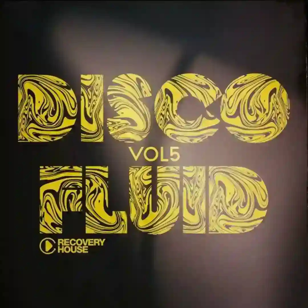 Disco Fluid, Vol.5 cover