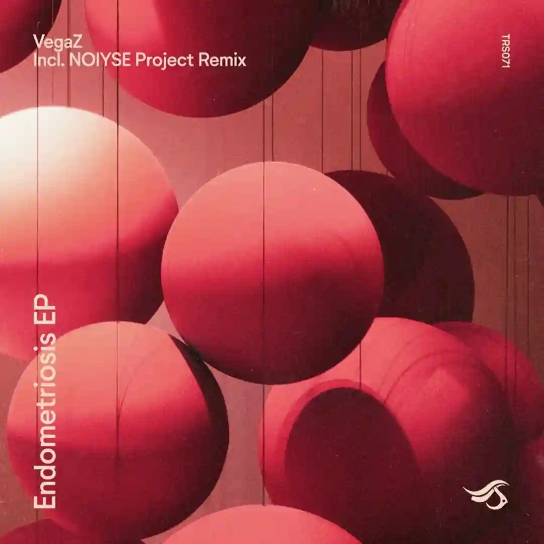 Endometriosis (NOIYSE PROJECT Remix) cover