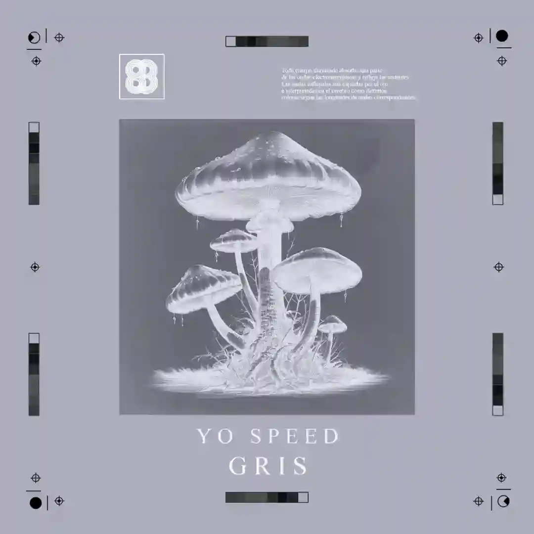 Gris cover