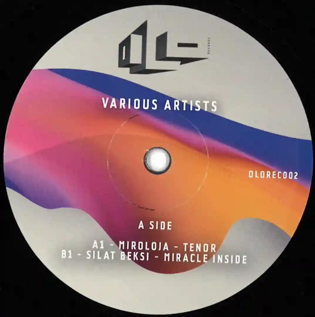 Miracle Inside cover
