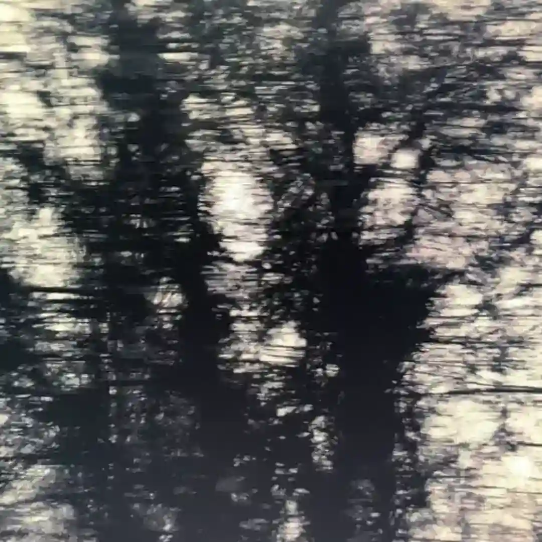 ellipse 2 cover