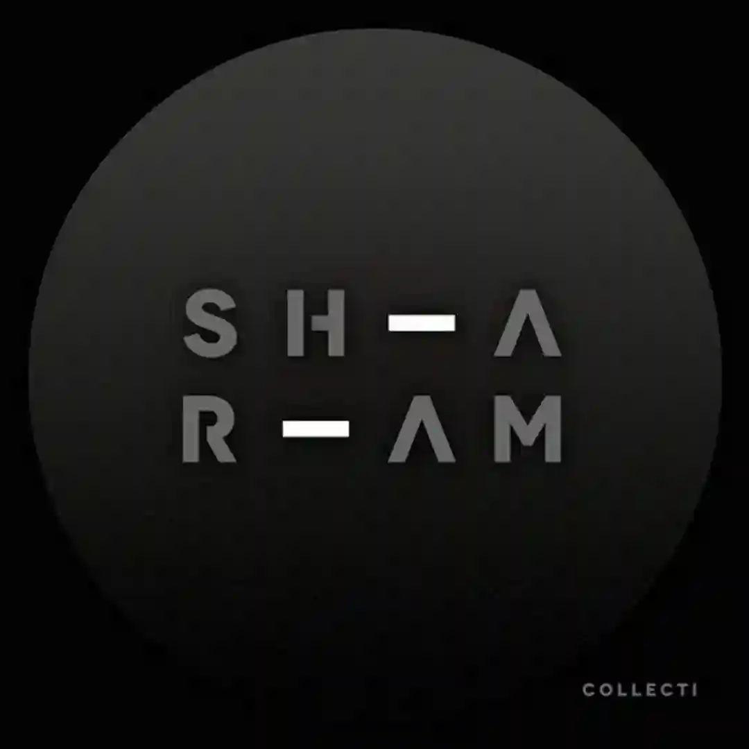 Ski (Original Mix) cover
