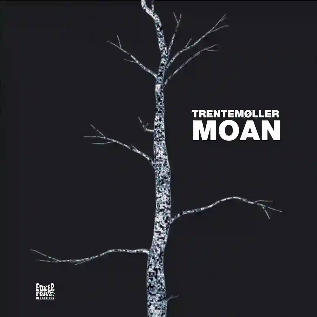 Moan (Trentemøller Remix Radio Edit) cover