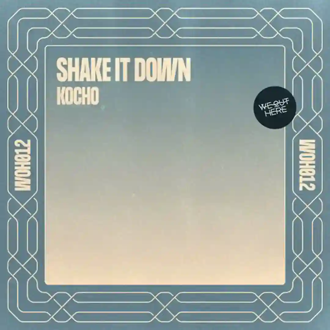 Shake It Down cover