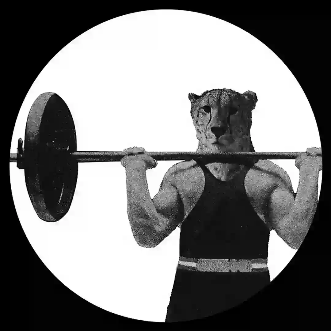 Bronze cover
