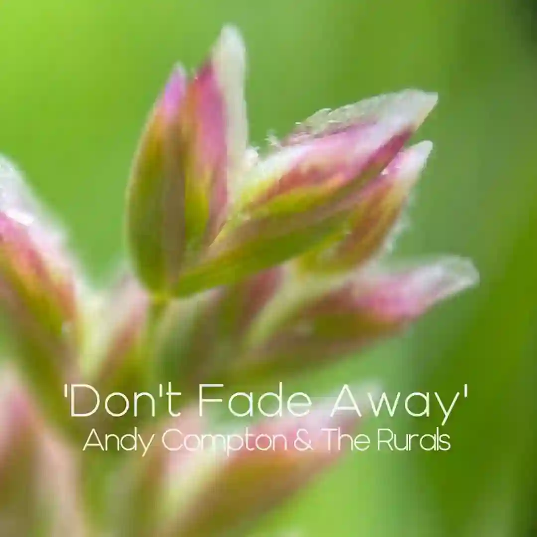 Don't Fade Away (Dubby Mix) cover
