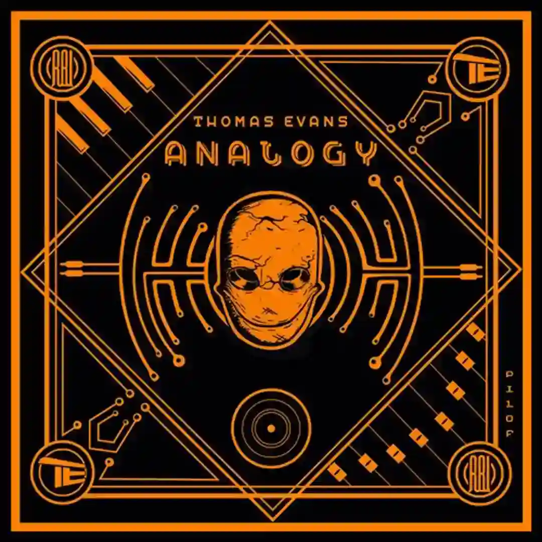 Analogy cover