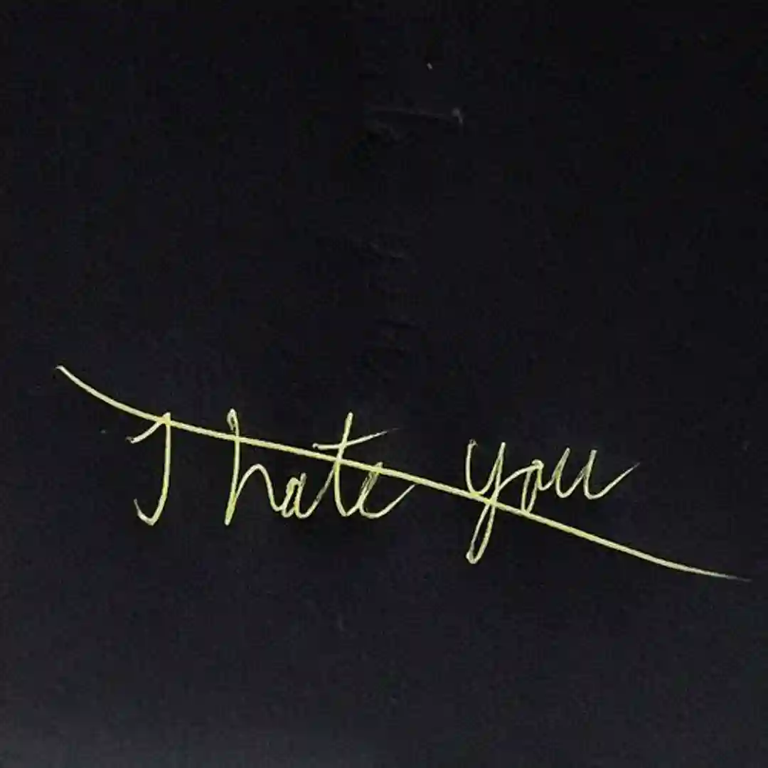 I Hate You (Extended Mix) cover