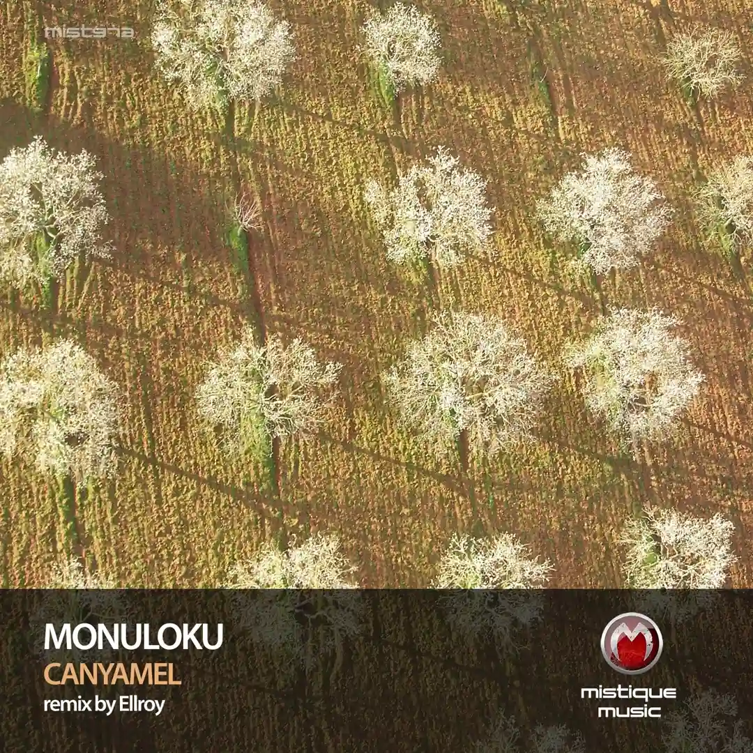 Canyamel (Original Mix) cover