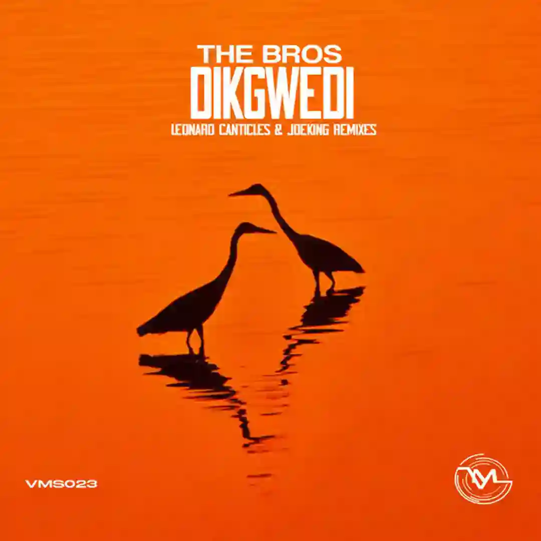 Dikgwedi (Leonard Canticle AfroDeep Remix) cover