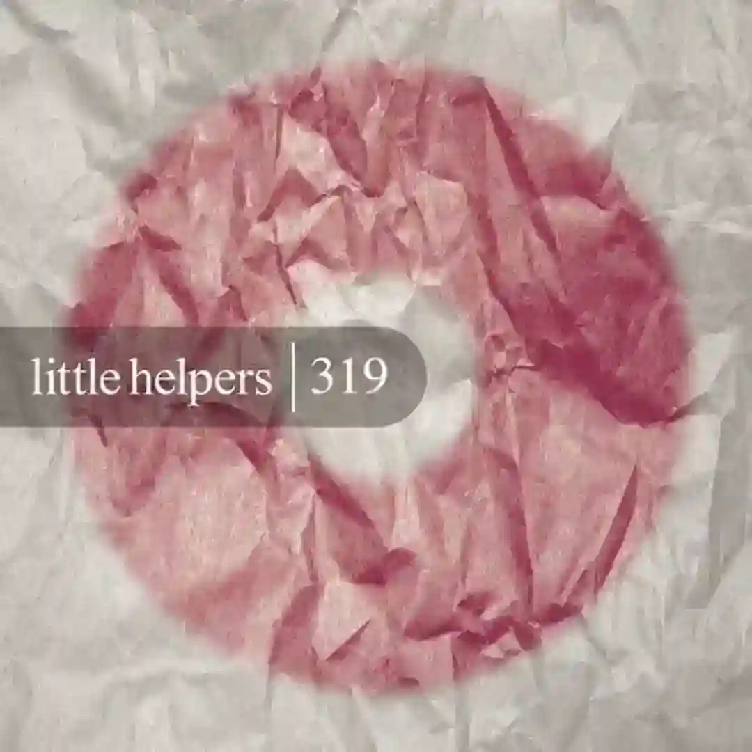Little Helper 319-5 (Original Mix) cover
