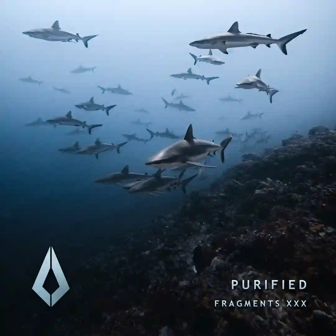 Symphony 44 (Extended Mix) cover