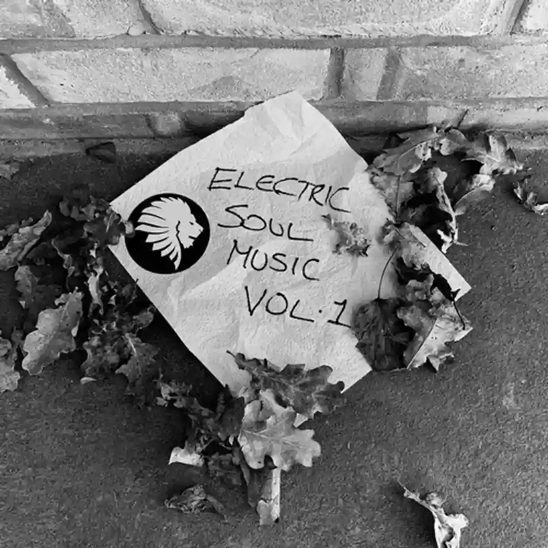 Body Kontrol (Original Mix) cover