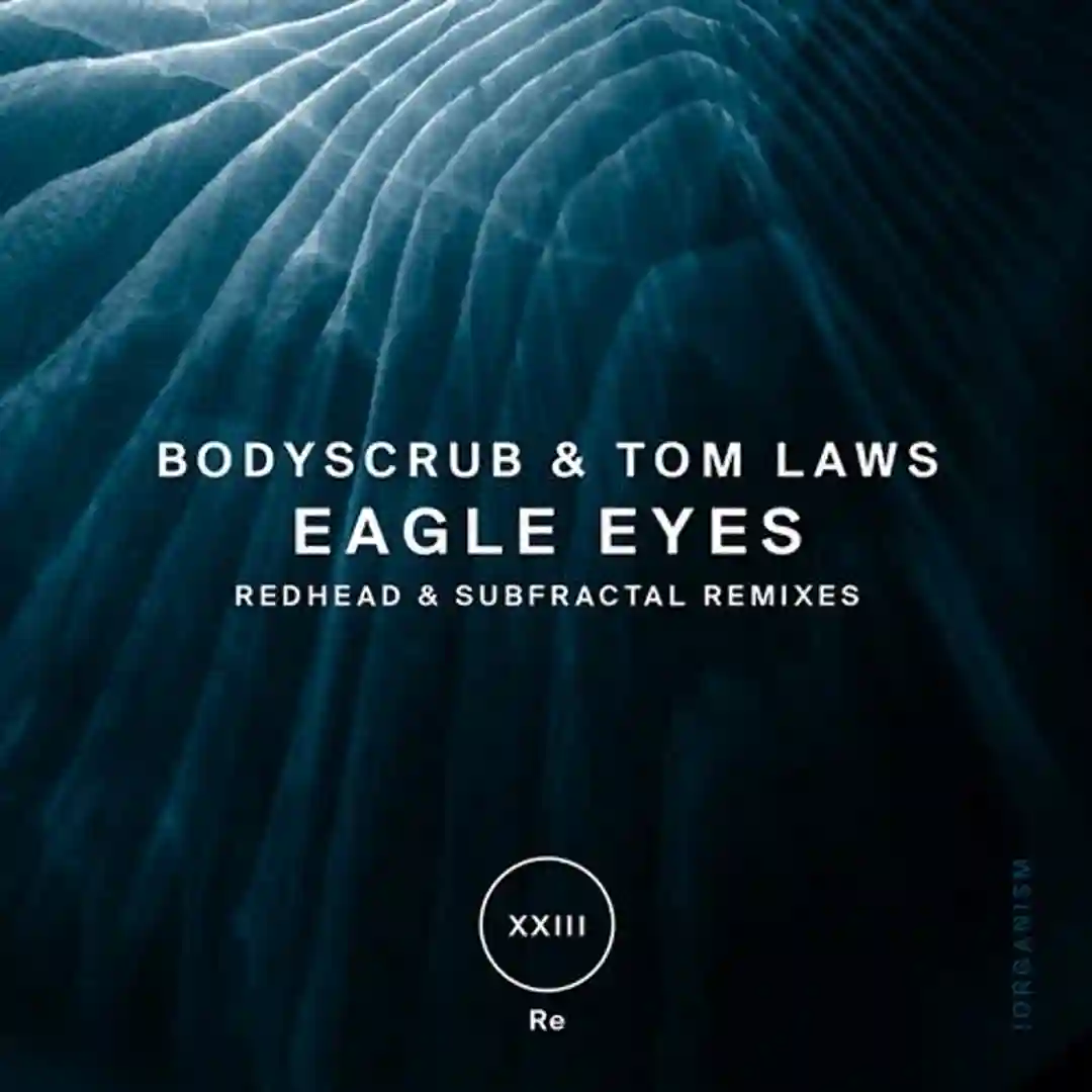 Eagle Eyes cover