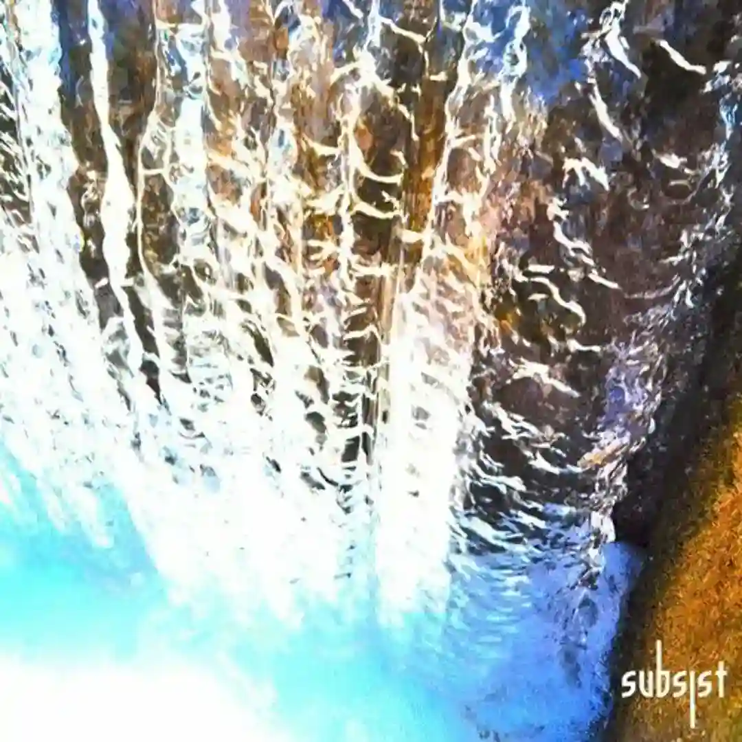 Gravitational Forces (Version 1) cover