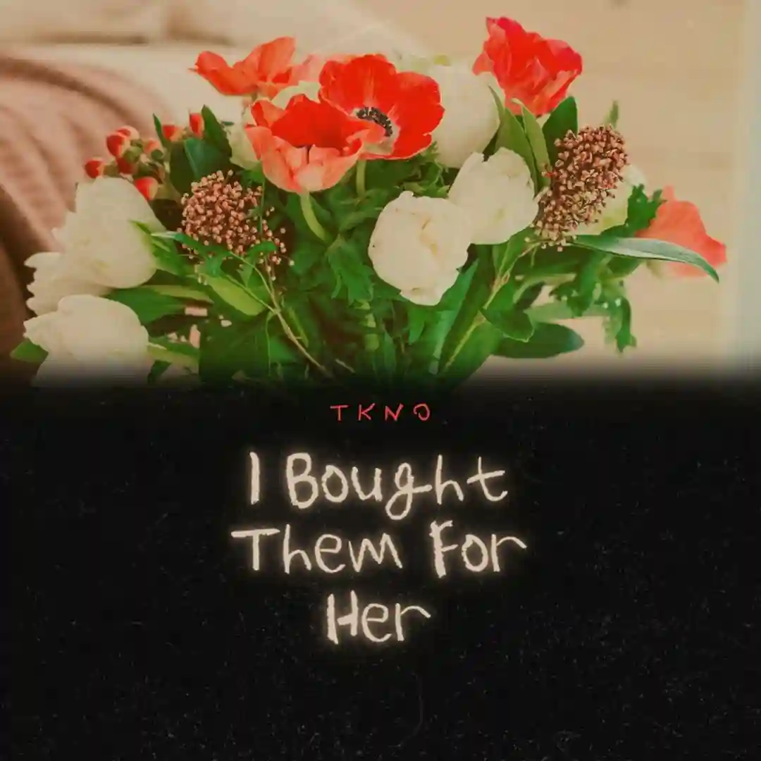 I Bought Them For Her (Radio Edit) cover