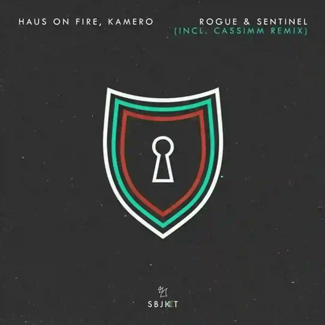 Rogue (CASSIMM Extended Remix) cover