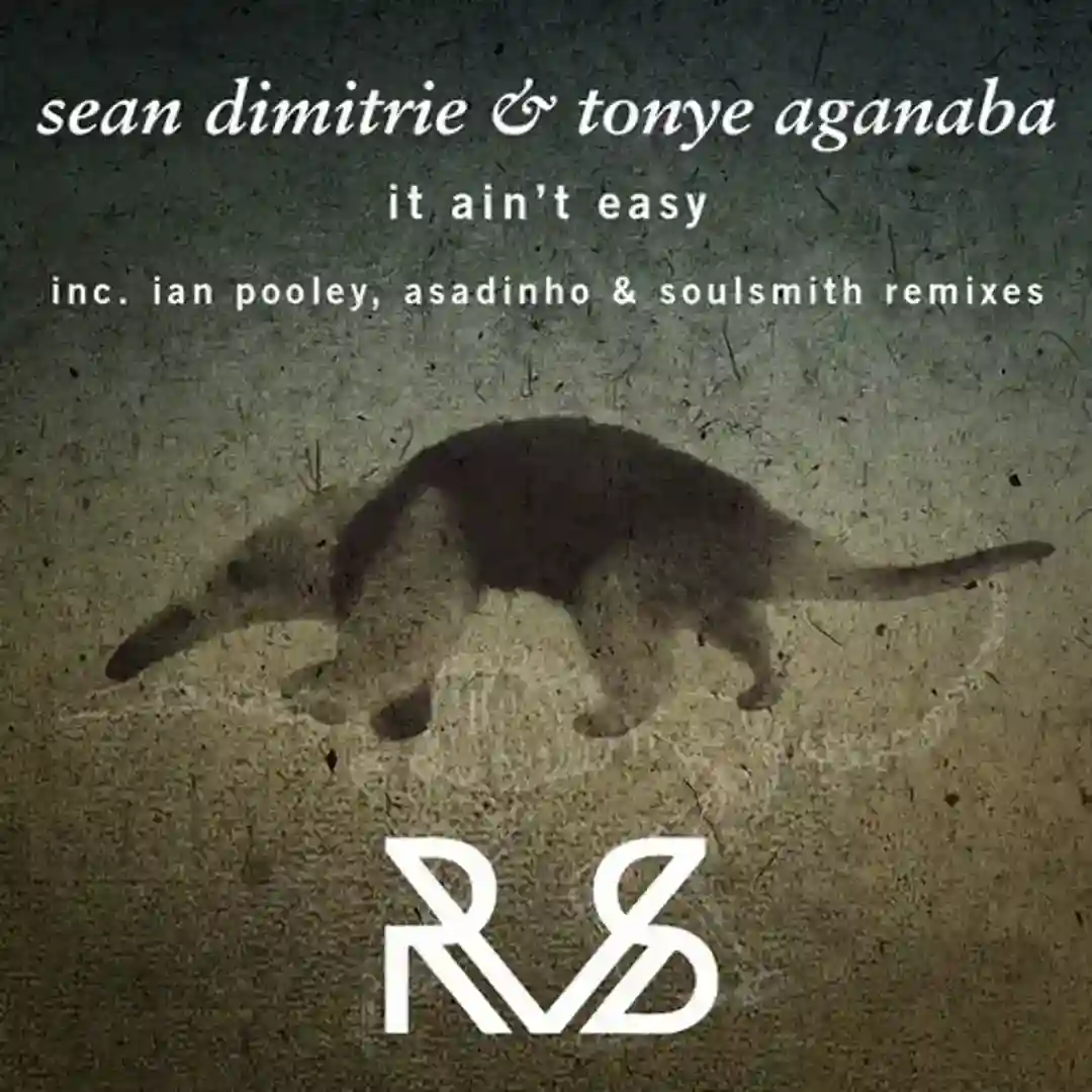 It Ain't Easy (Soulsmith Remix) cover
