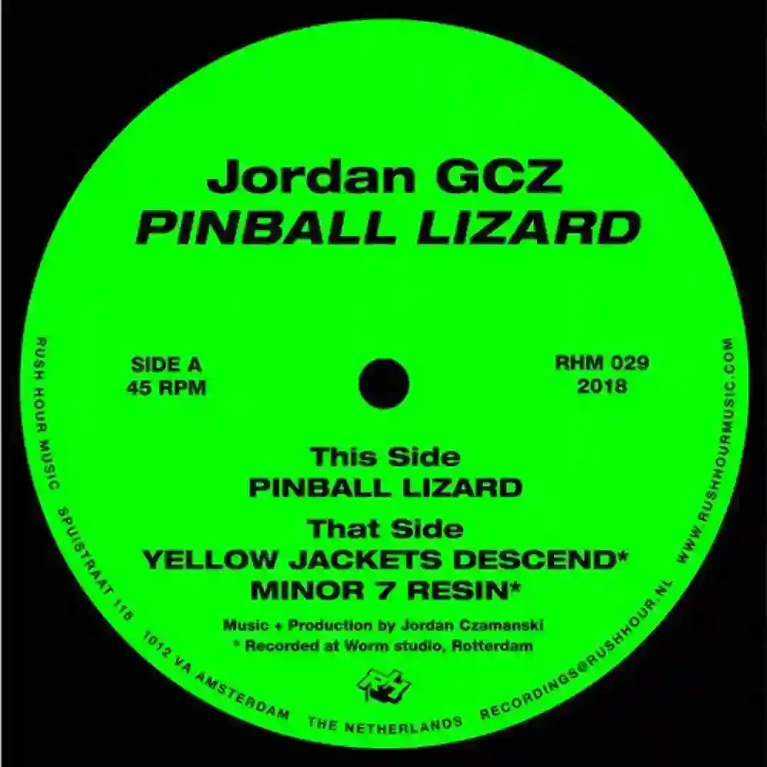 Pinball Lizzard cover