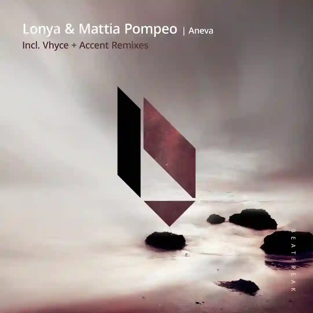 Aneva (Vhyce Remix) cover