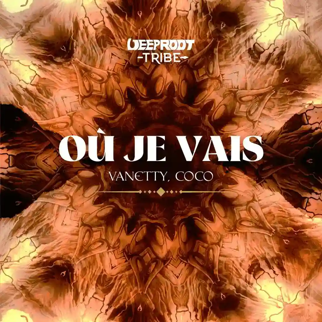 Où Je Vais (Extended Mix) cover