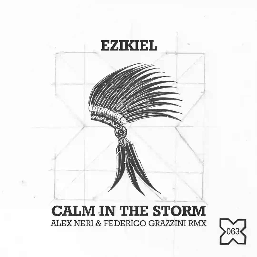 Calm in the Storm cover