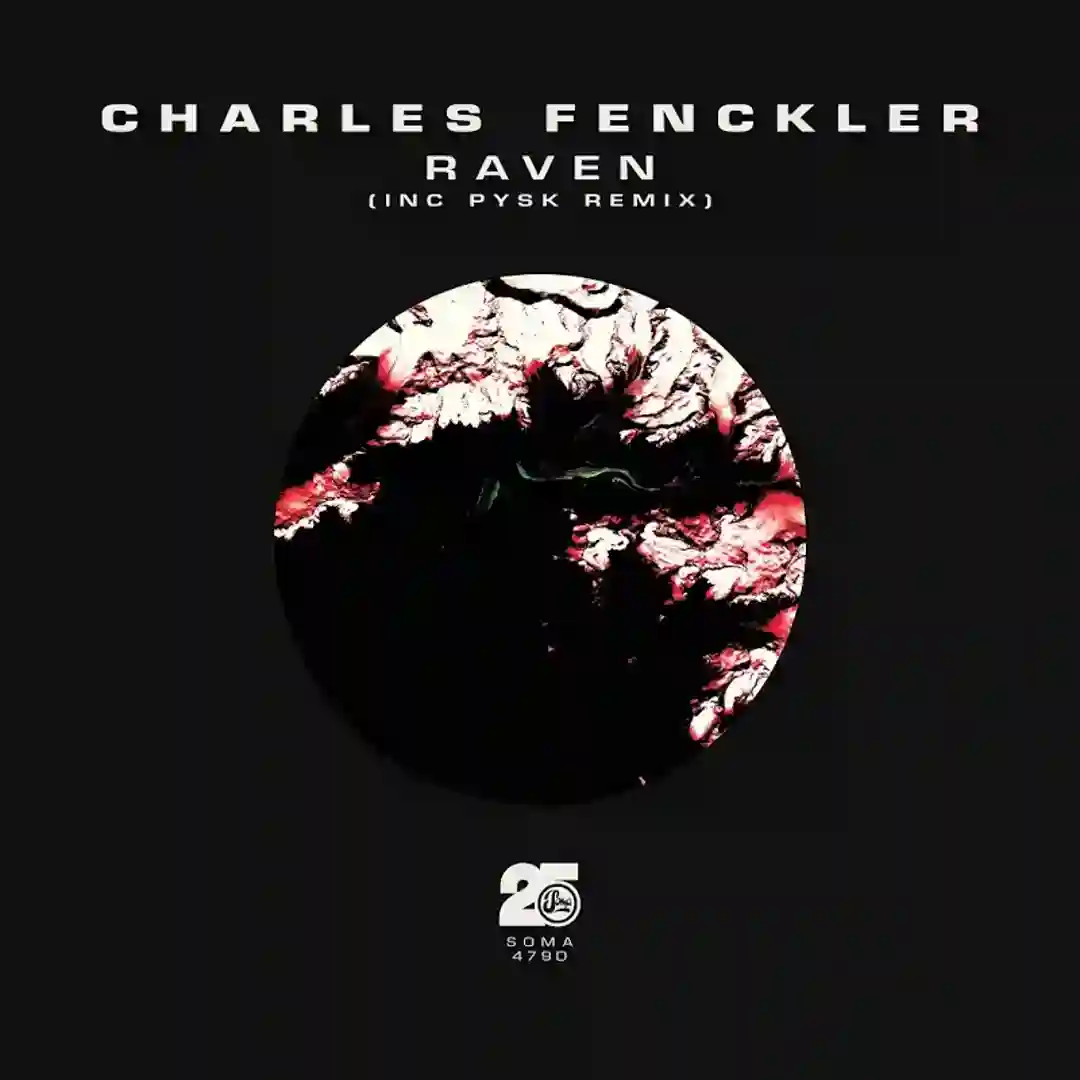 Raven (Inc Psyk Remix) cover