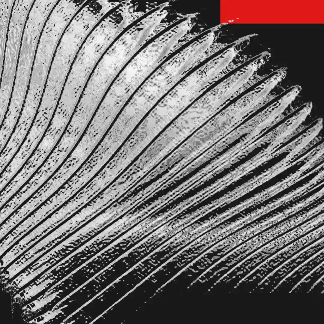 Noir (Original Mix) cover