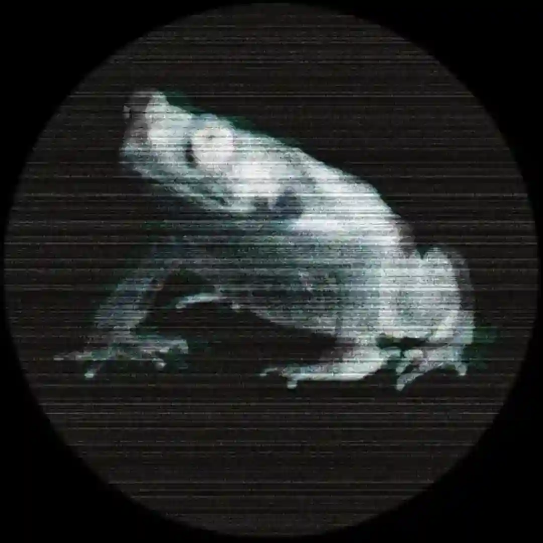 B2 - Untitled (Original Mix) cover