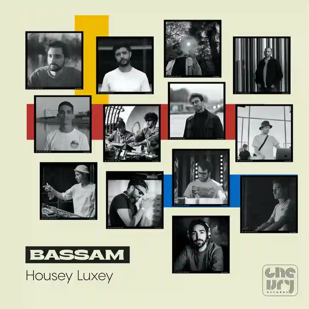 Housey Luxey cover