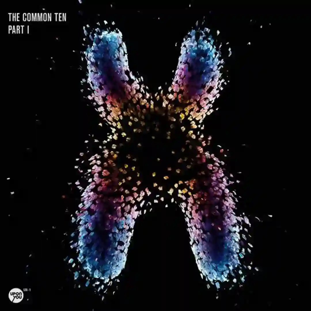 The Common Ten Part 1 cover