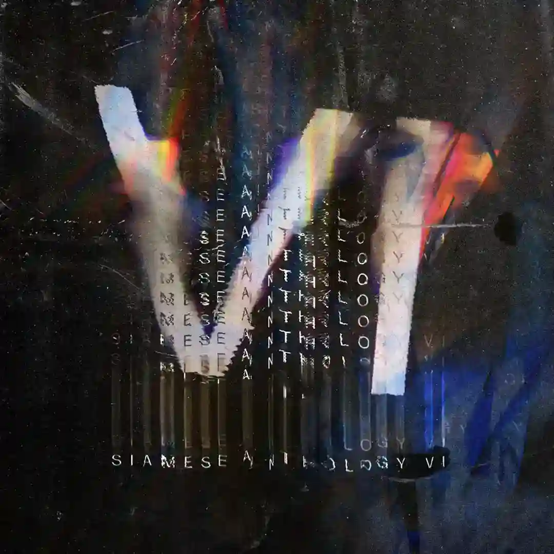 Siamese Anthology VI cover