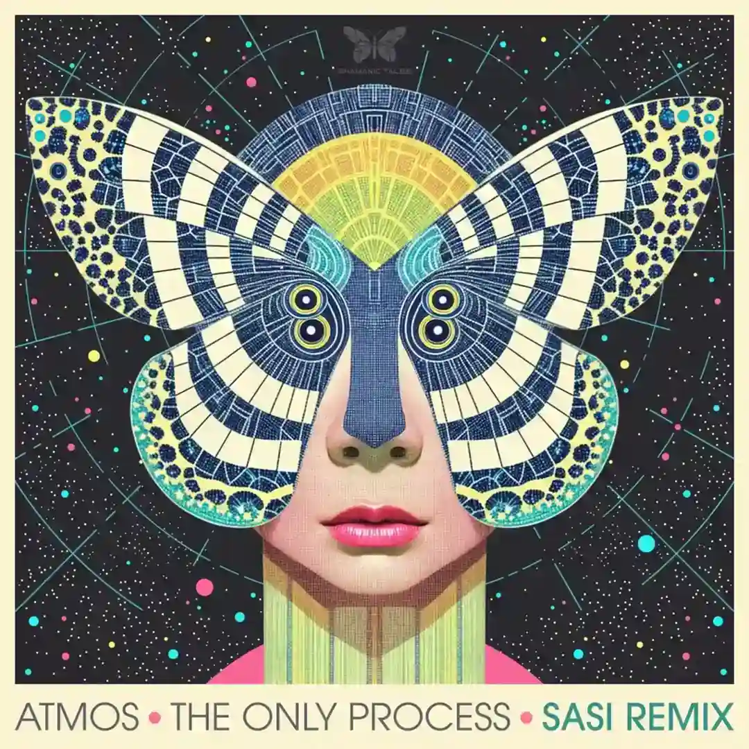 The Only Process (Sasi Remix) cover
