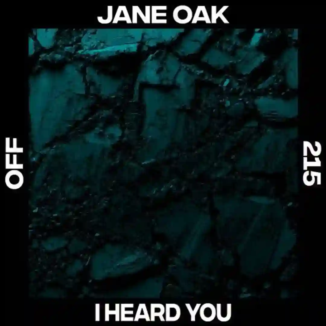 I Heard You (Original Mix) cover