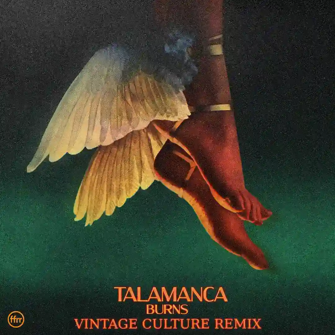 Talamanca (Vintage Culture Extended Remix) cover