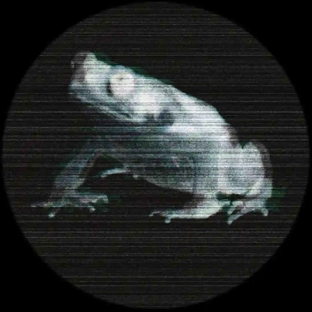 B1 - Untitled (Original Mix) cover