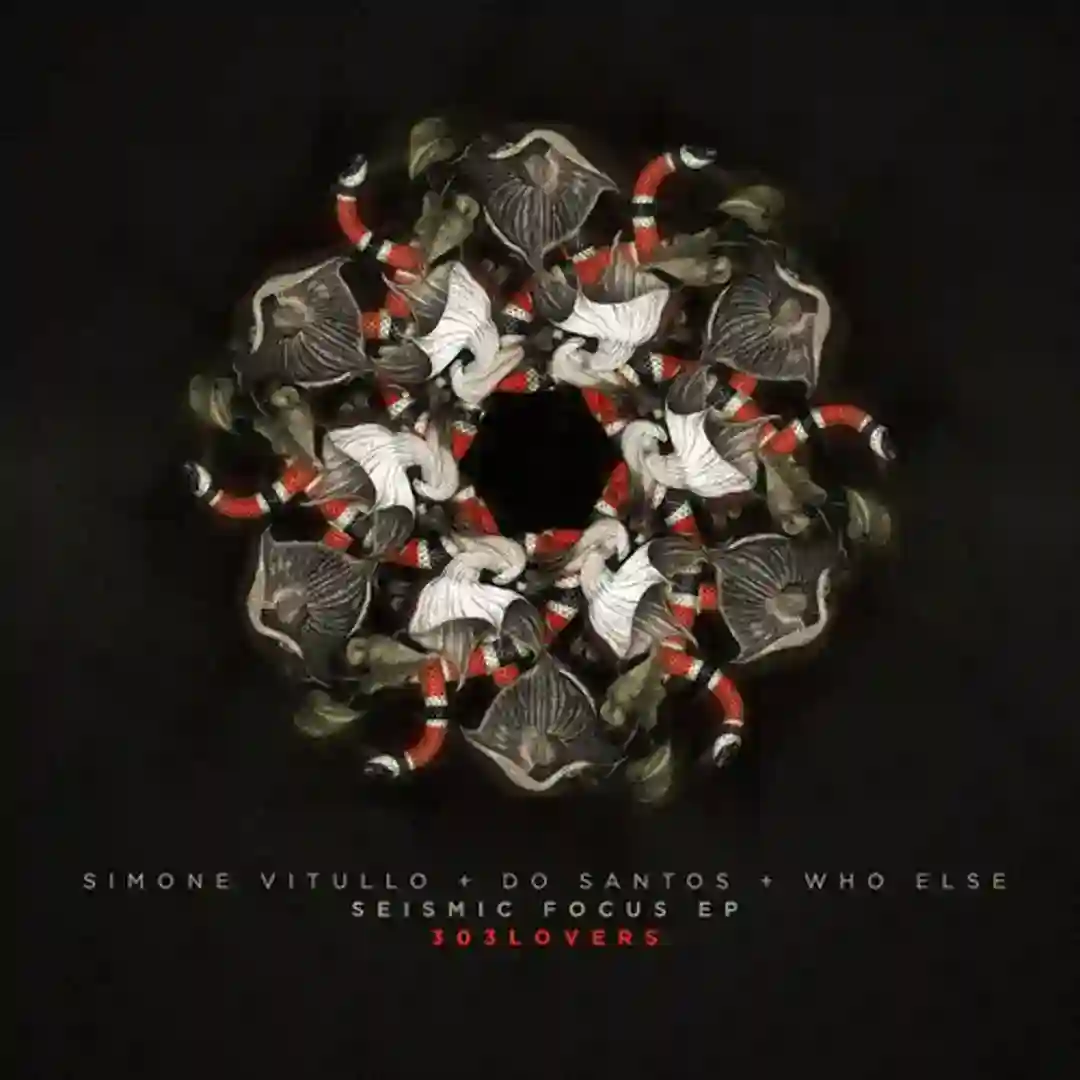 The Party (Original Mix) cover