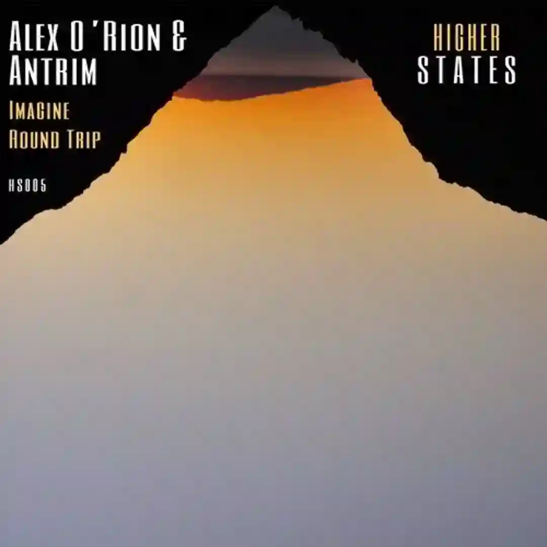 Round Trip (Original Mix) cover