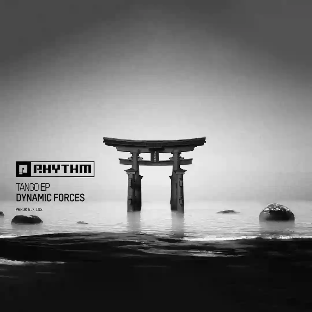 True Form (Original Mix) cover