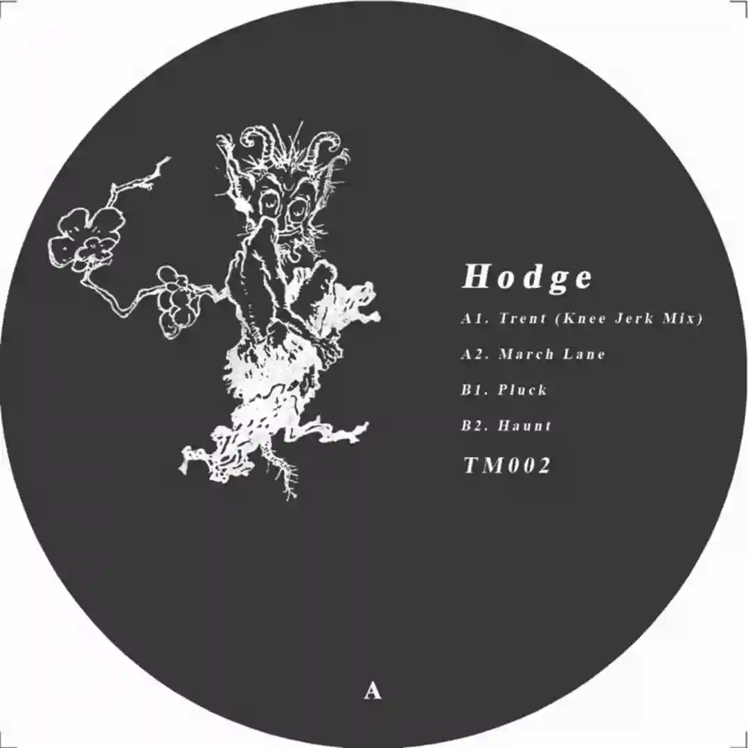 Haunt (Original Mix) cover