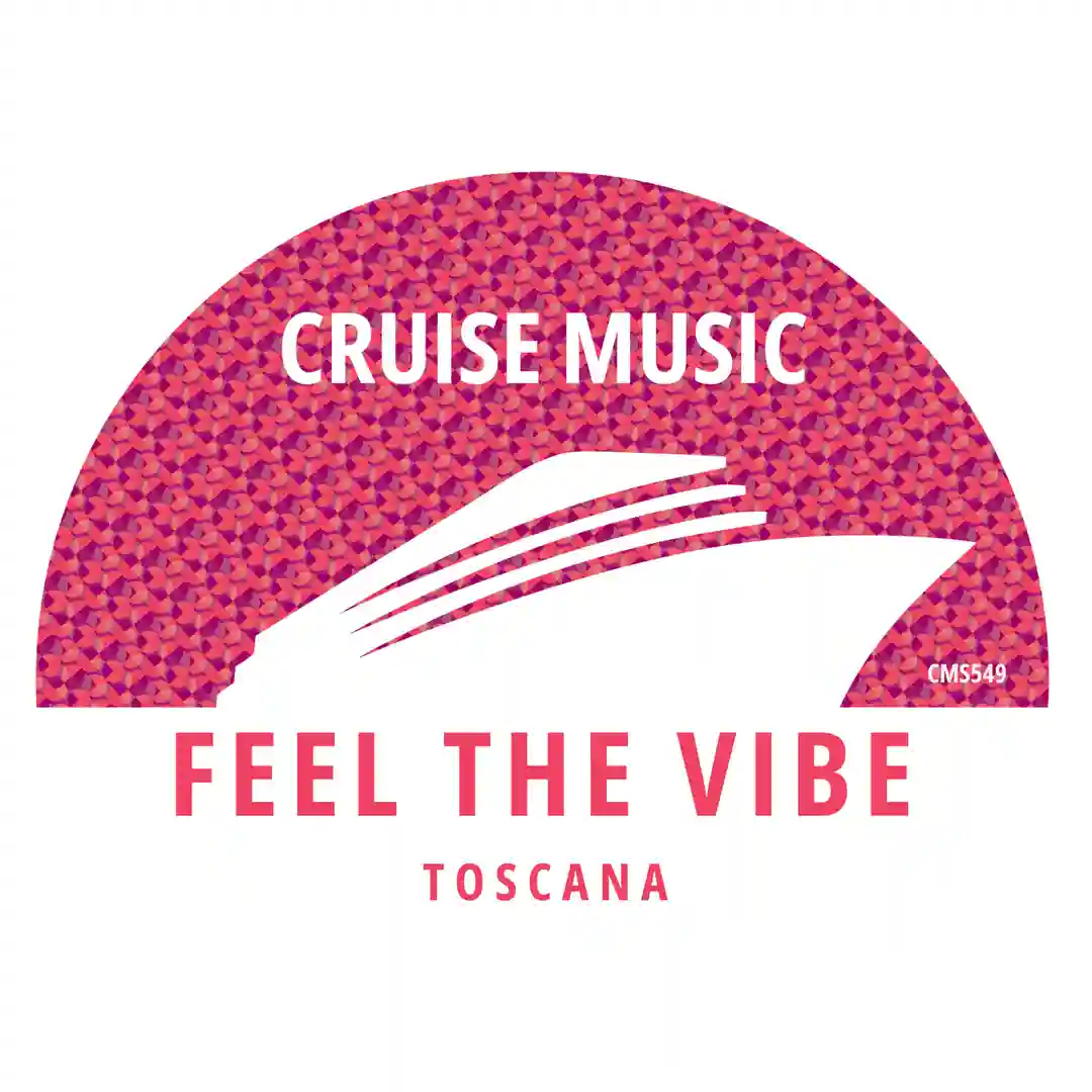 Feel The Vibe (Extended Mix) cover