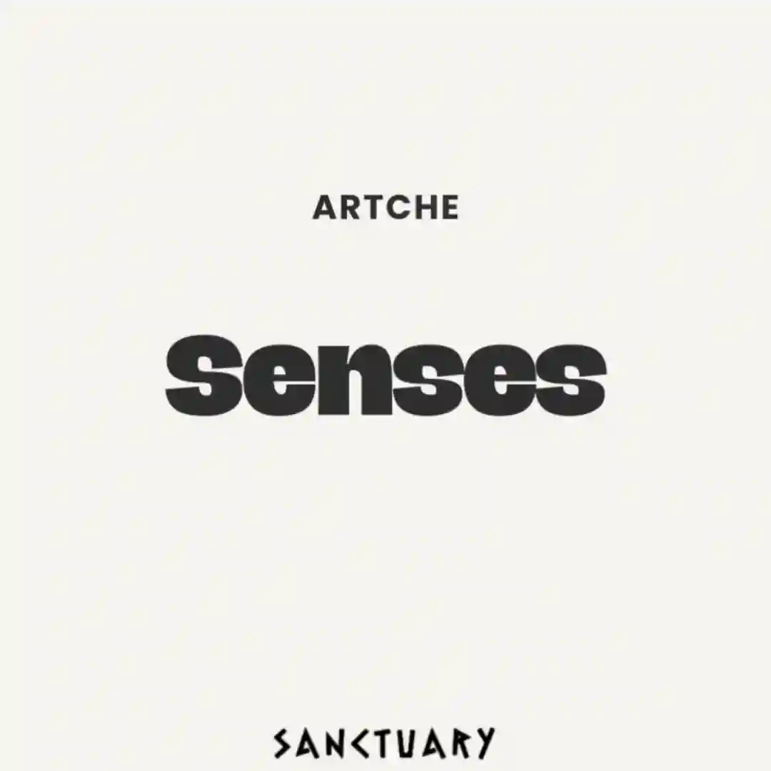 Senses (Original Mix) cover