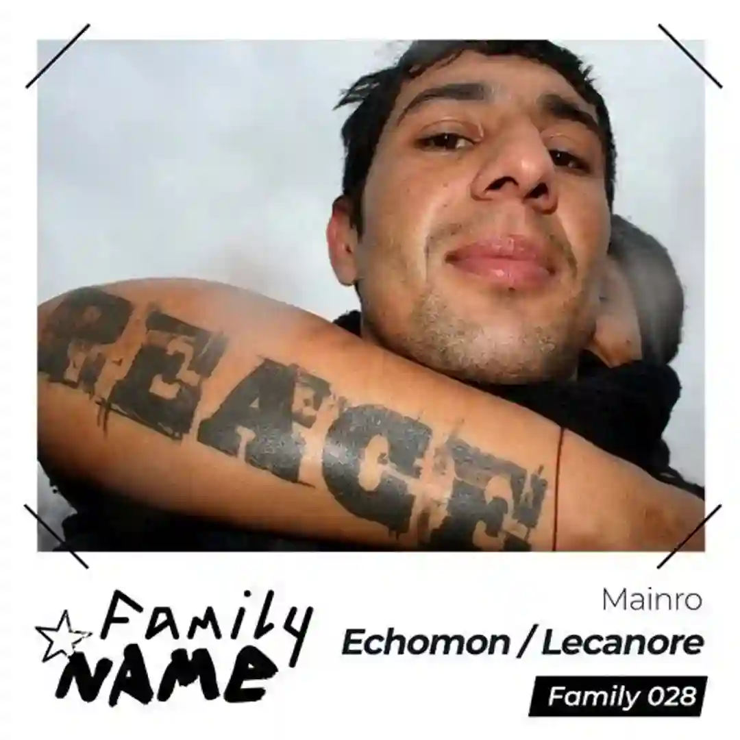 Echomon (Pisetzky Remix) cover