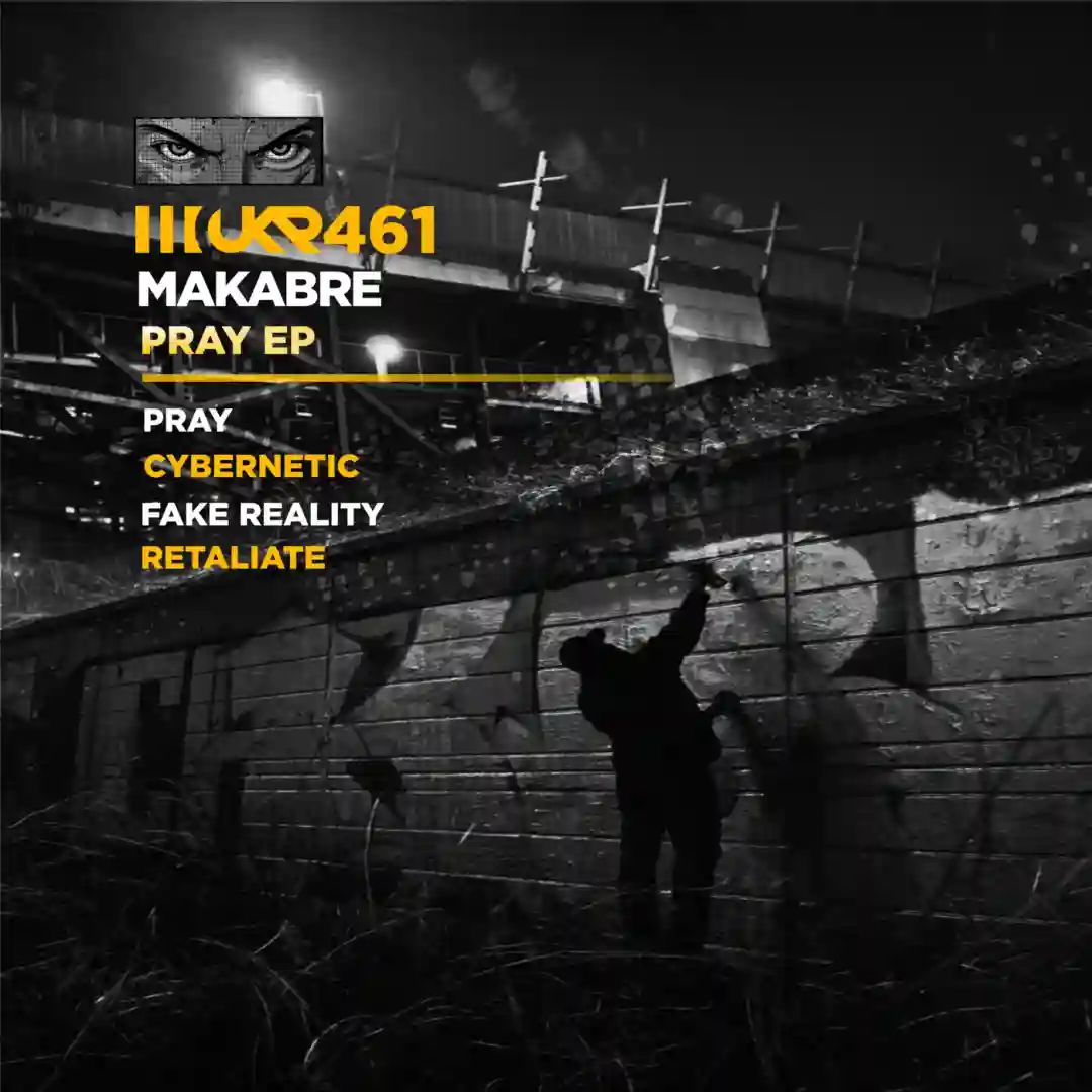 Fake Reality (Original Mix) cover