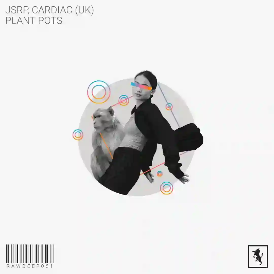 Plant Pots (Original Mix) cover