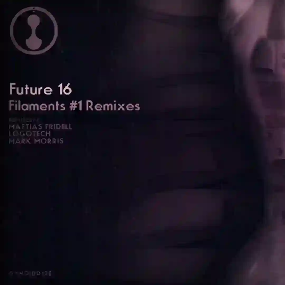 Filaments, Pt. 2 (Logotech's Innerview) cover
