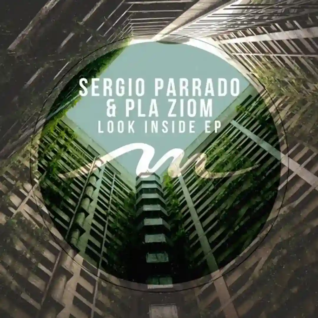 Look Inside (Original Mix) cover