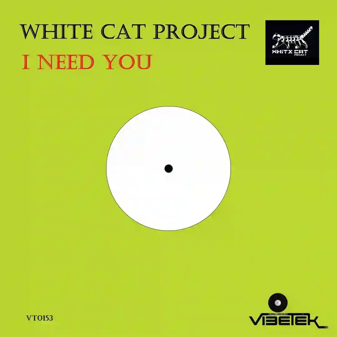 I Need You (original mix) cover