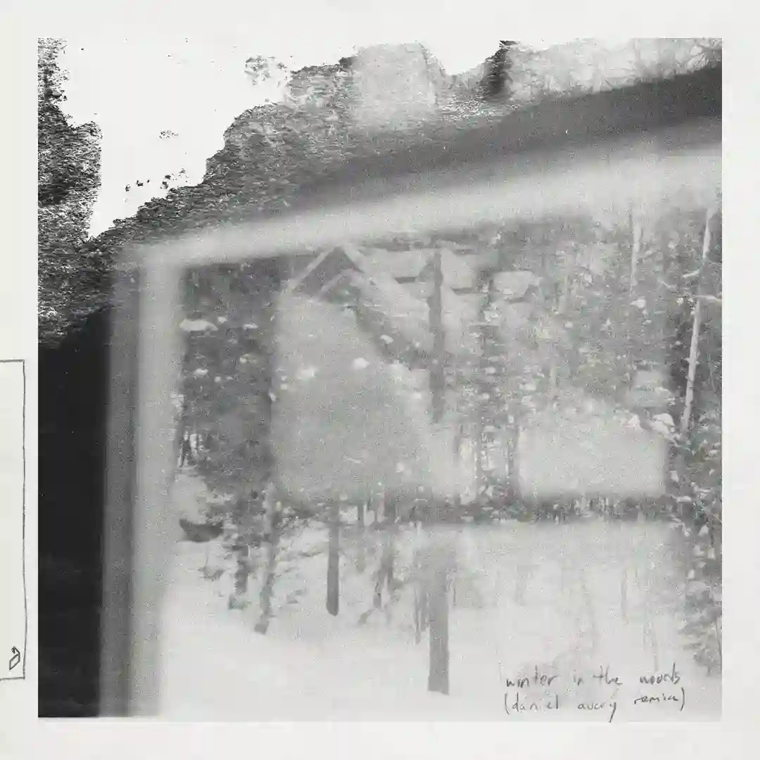 Winter In The Woods cover