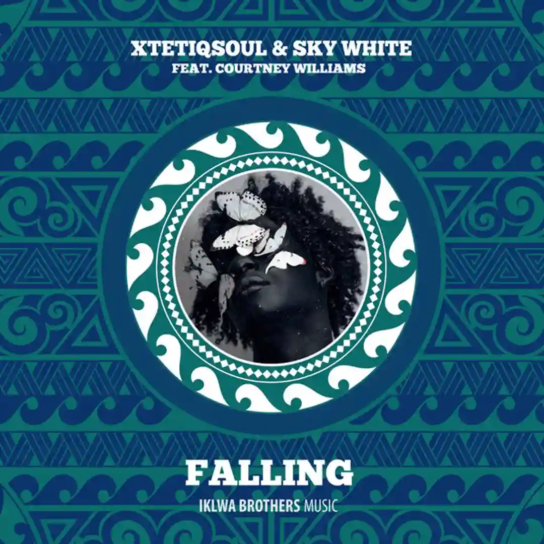 Falling (Froote & Budda Sage Mix) cover